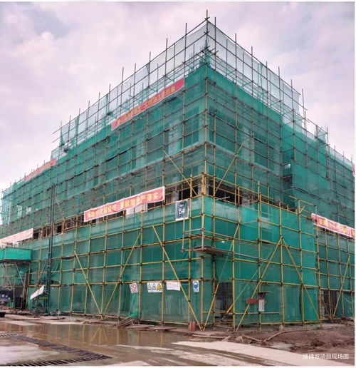 預計達產后年產值達30億元 提供約5000個就業崗位 肇慶這個項目有新進展