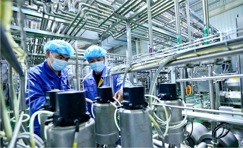 用新質(zhì)生產(chǎn)力破解乳業(yè)困局 甘肅前進(jìn)集團(tuán)傳祁甘味乳業(yè)新型乳制品走俏市場