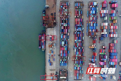 鋼 港 合作,杠杠的