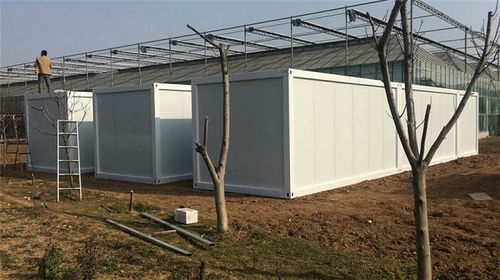 拼裝箱框架批發(fā)與租賃指南 邢臺(tái)、文安地區(qū)的優(yōu)選方案